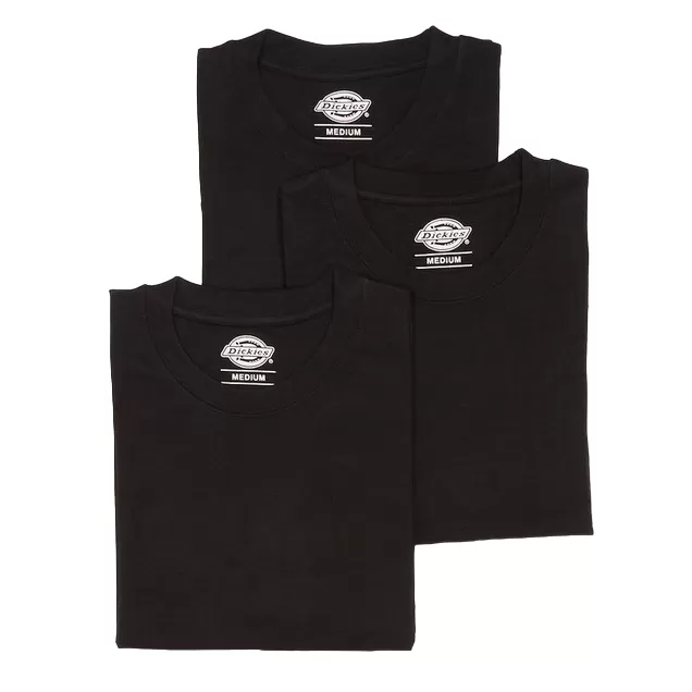 Dickies 3 Men's Short Sleeve T-Shirts DK621091BLK1 black