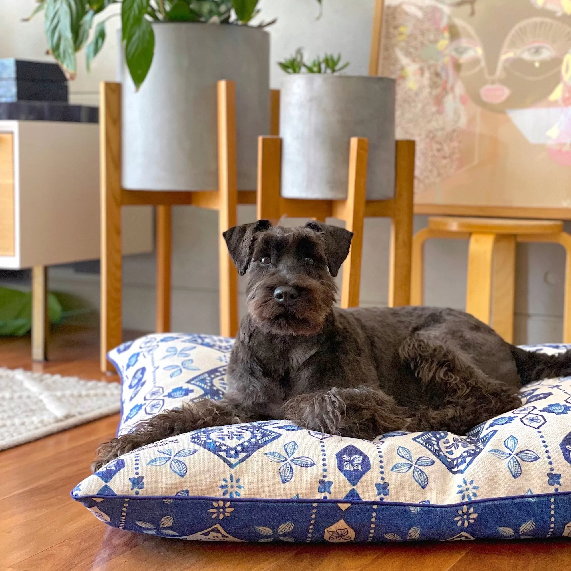 Indie ECO Pet Bed - Noosa Nights