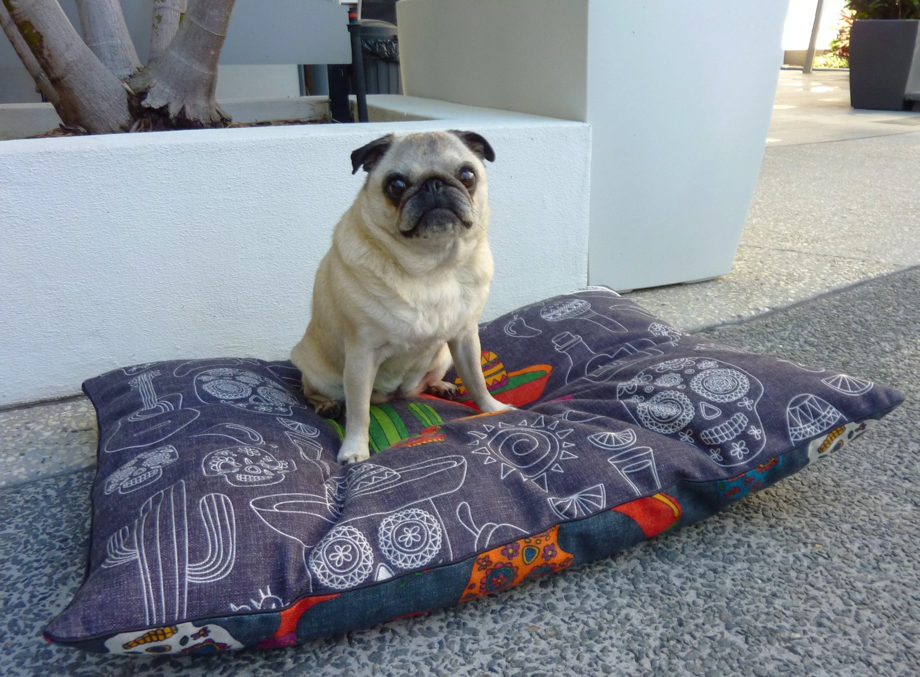 Indie ECO Pet Beds - Mexican Skulls