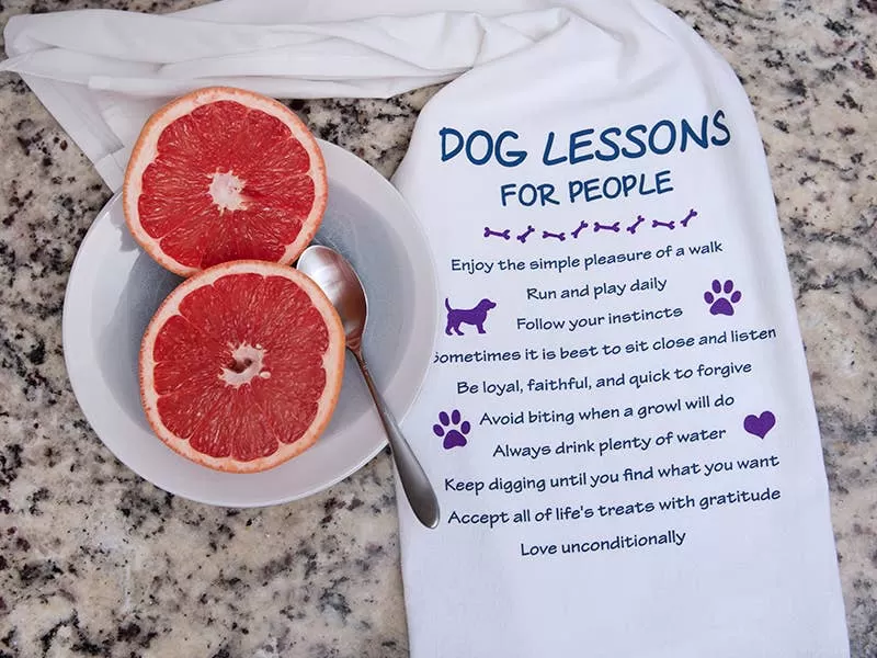 Kitchen Towel - Dog Lessons -