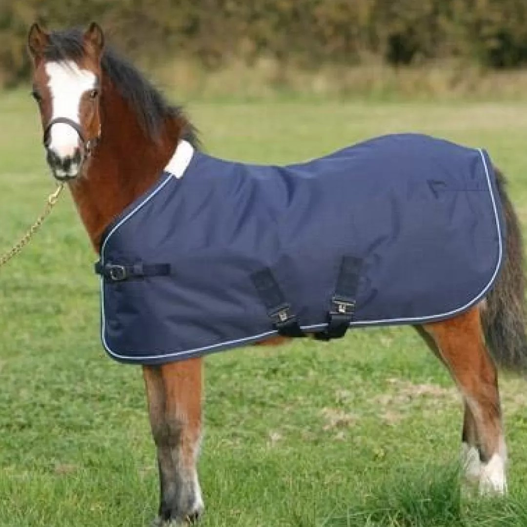 Mark Todd Foal Turnout Rug