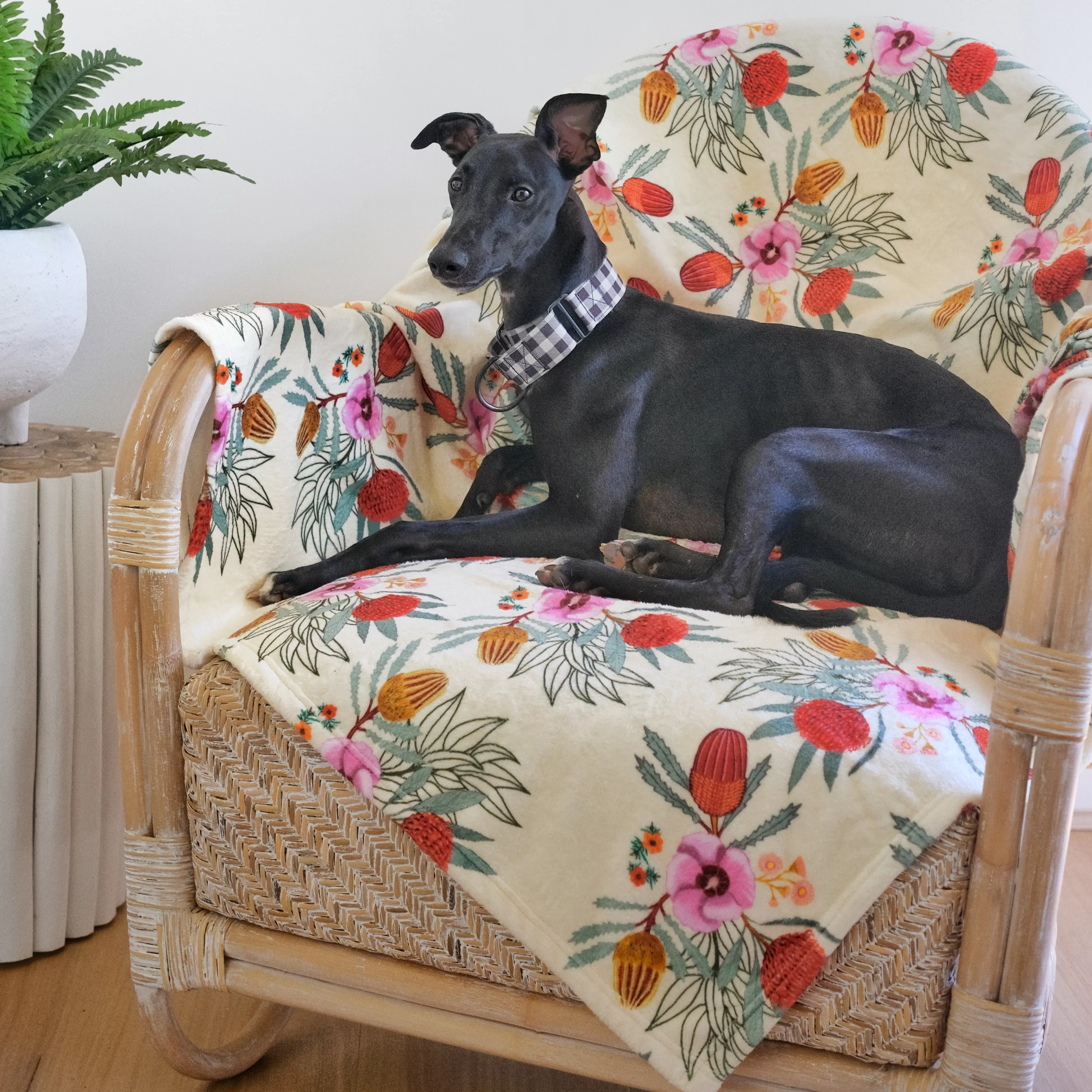 Native Flora - Designer Pet Blanket