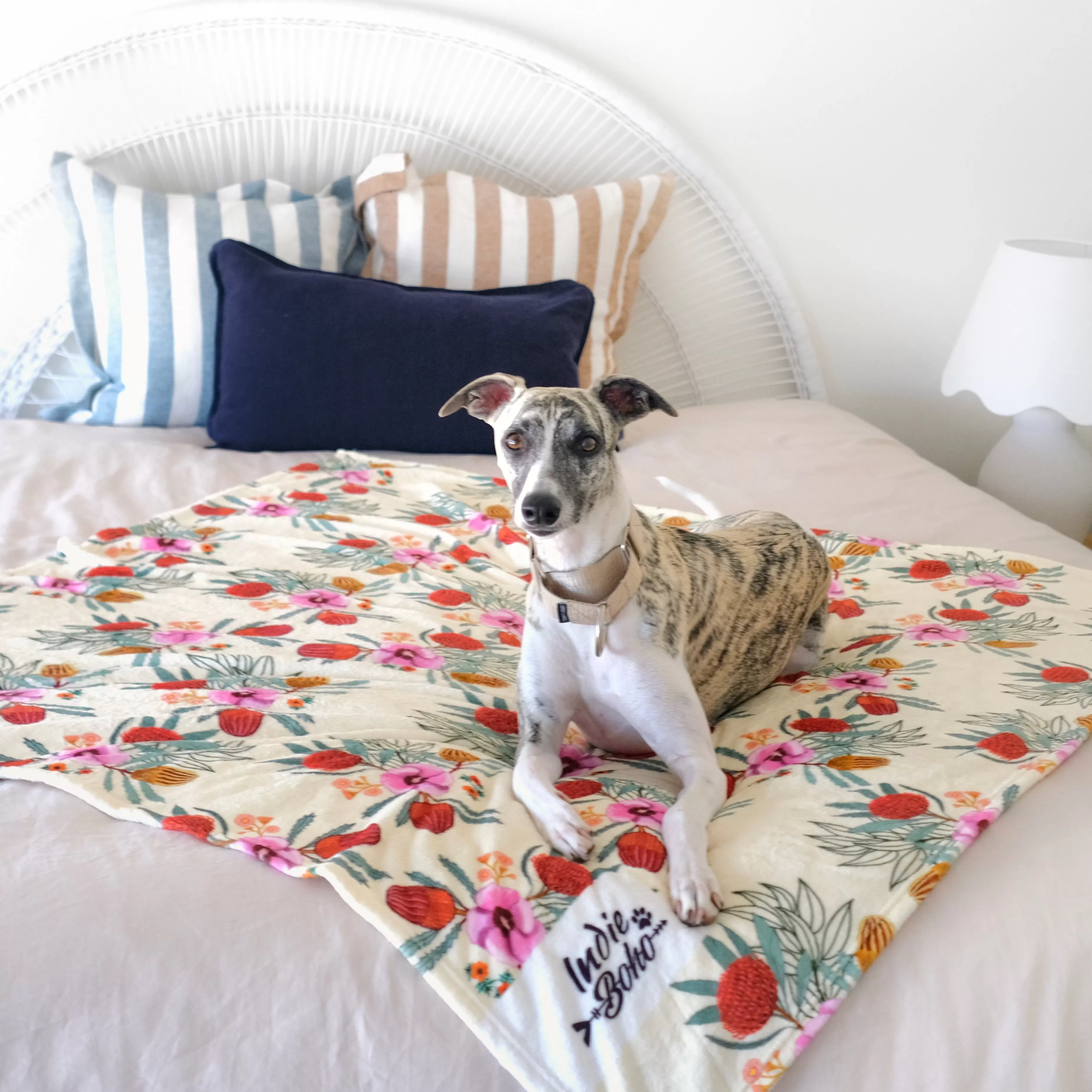 Native Flora - Designer Pet Blanket