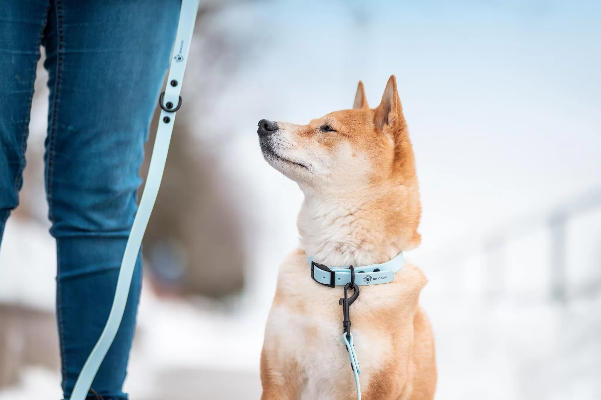 Sky Blue Collar & Leash Set